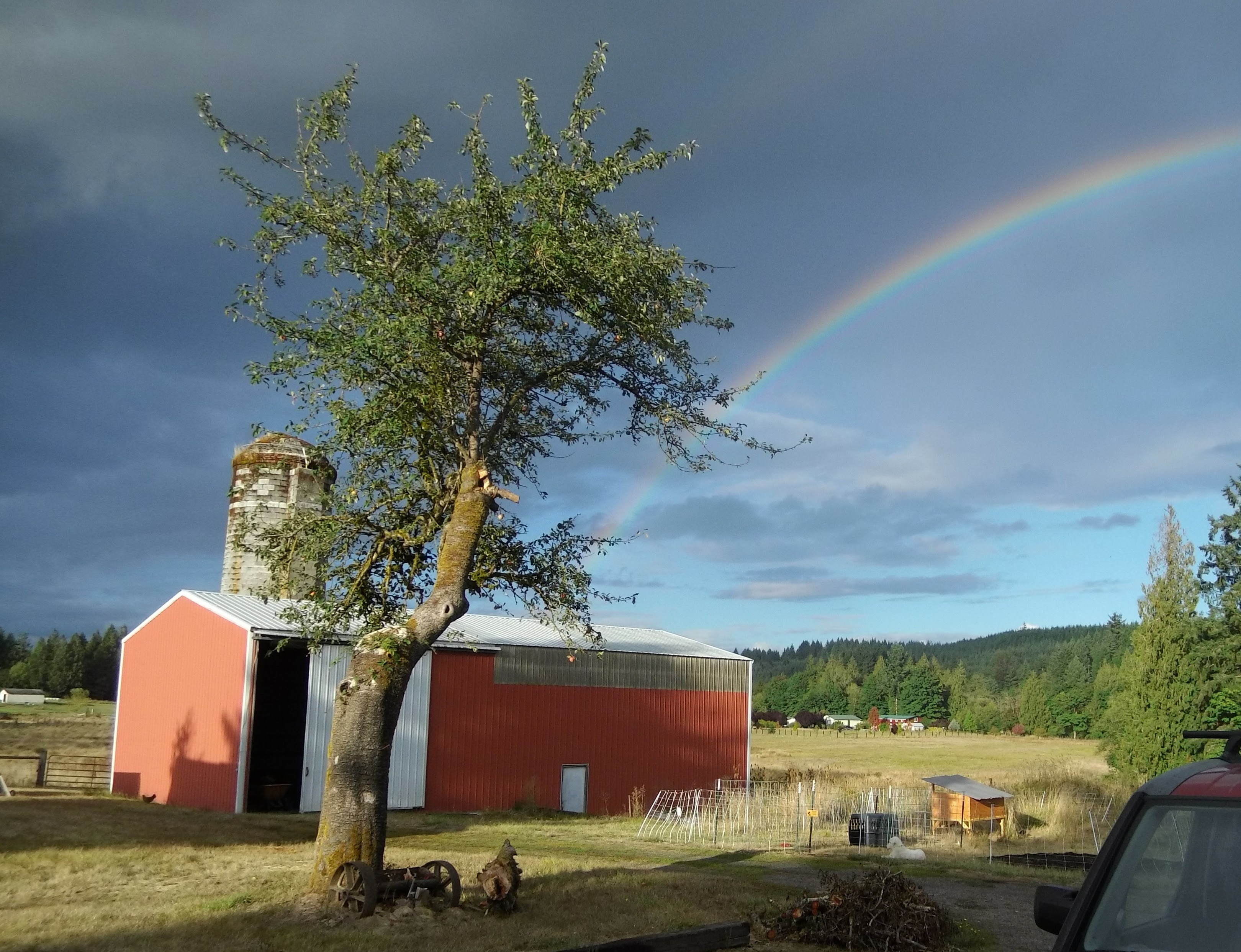 Rainbow over the Barn